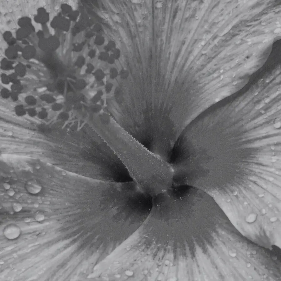 Vue 4 de l’univers massage bien-être UNDA Biarritz